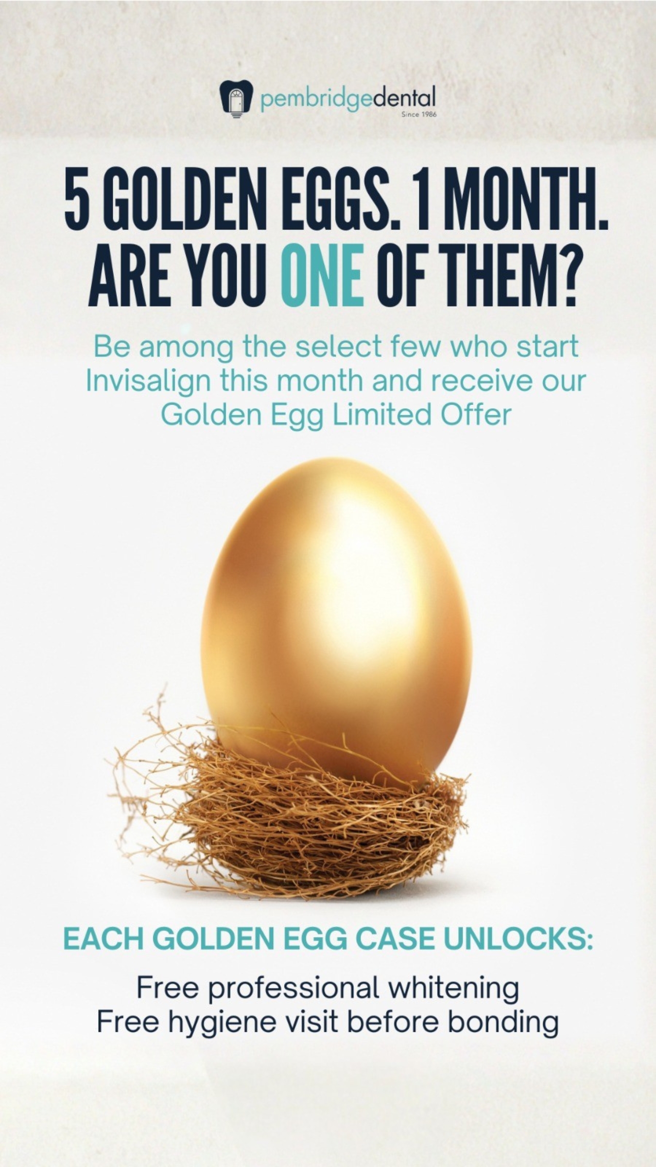 Golden Egg limited case offer